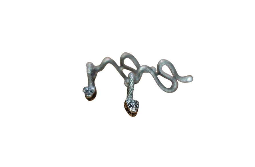 Silver Snake Earrings